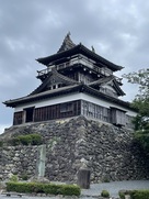 曇り空でも渋い天守…