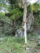和歌山城石垣石材の石切丁場跡…