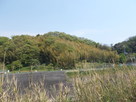 片岡城遠景