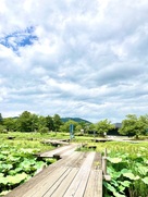 高松城址公園