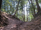 釜屋の壇と羽子の丸の間の堀切…