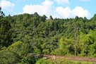 野原城 高山本線越しの遠景（南より）