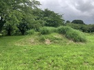 西館の小山状の土塁…