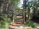 城址付近の妙見神社