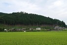 吉田城 遠景（南より）…