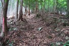 吉田城 南東尾根の尾根道