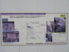 平成25年度第２期発掘調査…