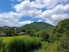 城址（城王山）全景（南側）…