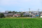 渋見城 遠景（南より）…