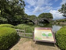 眼鏡橋