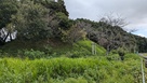 出丸跡（浅間神社）…