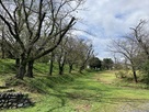 馬頭尊から大手方面の土塁…