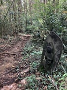 石仏に見守られている登城路…