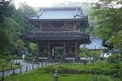 林泉寺山門