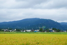 城址からの猿倉城遠景…