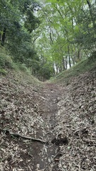 ほぼ獣道な空堀…