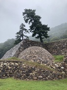 世にも珍しい球体の石垣、鳥取城…