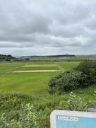 東山から香取の海（印旛沼）方面の風景…