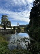 長沼と三の丸東側土塁…