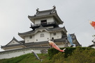 掛川城と鯉のぼり…