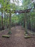 登山道の鳥居