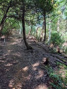 金山城コースの登り土塁…