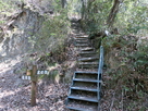 登山口②(田の浦野営場側)