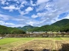 登城口付近からの鮎川千本桜…