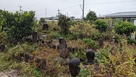 元総社御霊神社…