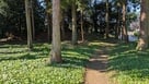 御霊神社の土塁…