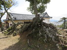 本丸に露出している地山…