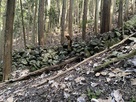 登山道の石積み