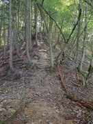 堀切から見上げる登山道…