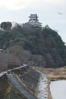 愛知県側からの犬山城…