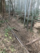 多賀神社北側の総構の堀…