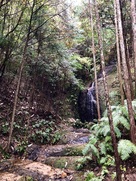 藤の回廊側登城口近くの滝…