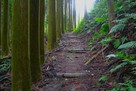 春日神社口の登城道