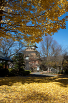 天守（永田鉄山中将像前から）