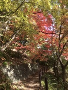 紅葉の鷺山公園