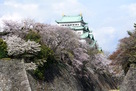 春の名古屋城