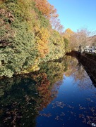 水面に映る紅葉…