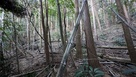 熊野神社からの登城道…