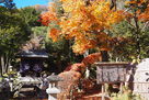 山村代官屋敷入口・稲荷の祠…