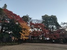 飛鳥山公園