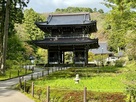 林泉寺の山門