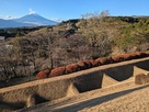 畝堀と富士山