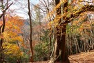 押山城 富士塚から西方向の景色