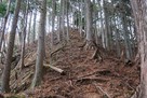 押山城 城址直前の急斜面