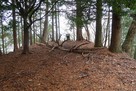 押山城 本丸風景