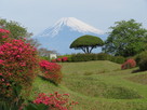 富士山と障子堀…